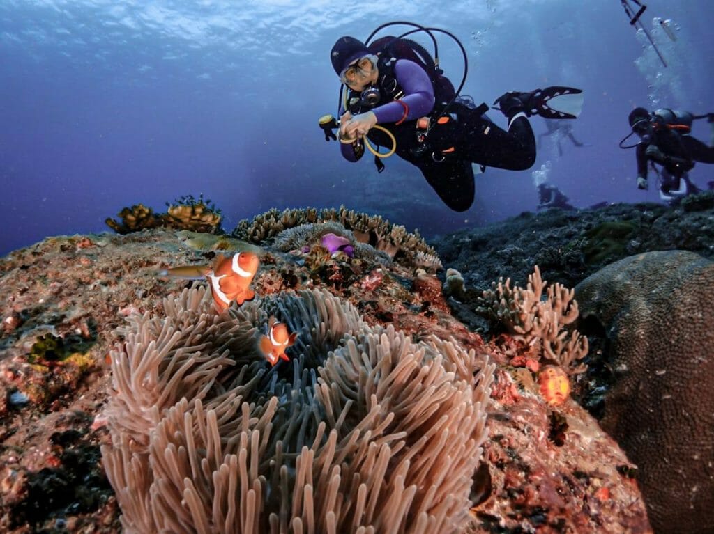 Photo 2021 10 26 16 24 29