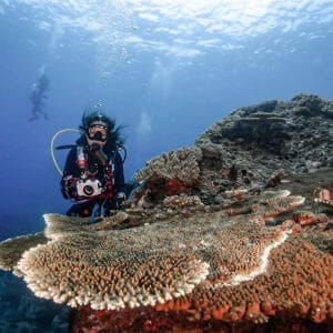 Enriched Air Nitrox Diver Rm 600