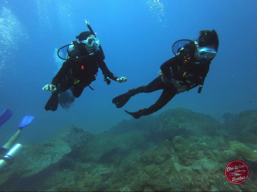 Photo 2022 03 21 17 26 06